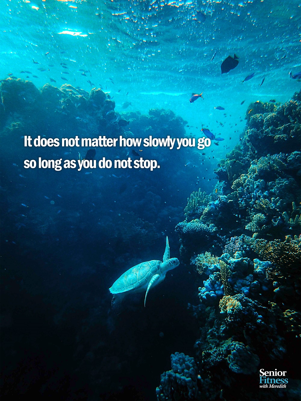 senior fitness with meredith