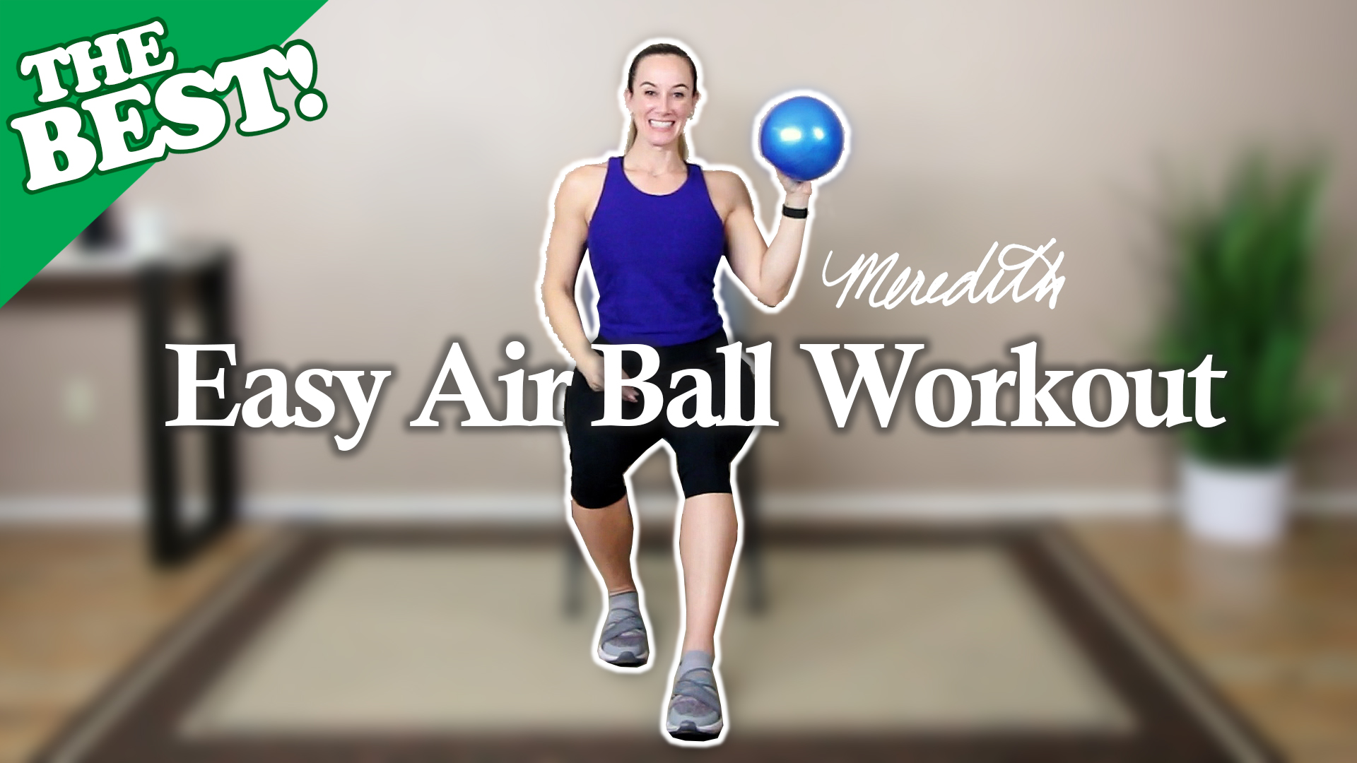 THE BEST Seated Workout For Seniors And Beginners Using An Air Ball 