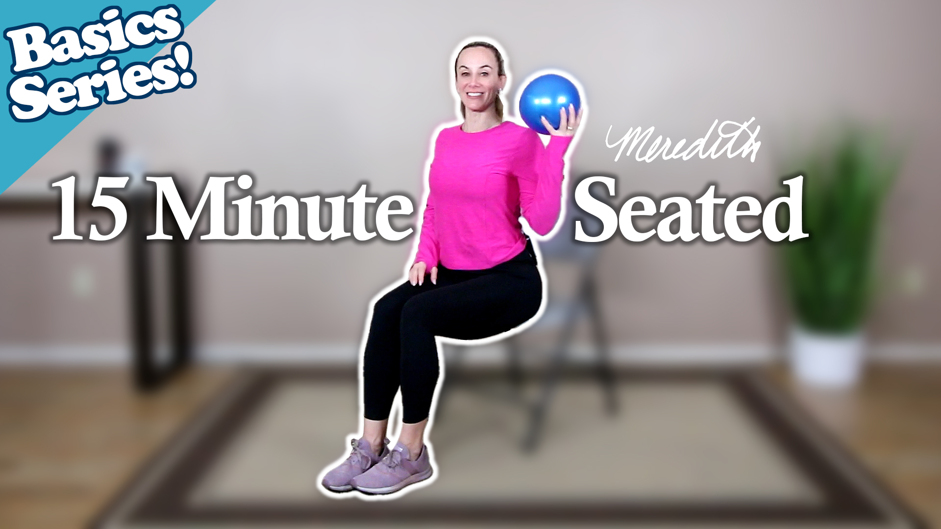 Senior Fitness 15 Minute Seated Workout For Beginners With Air Ball